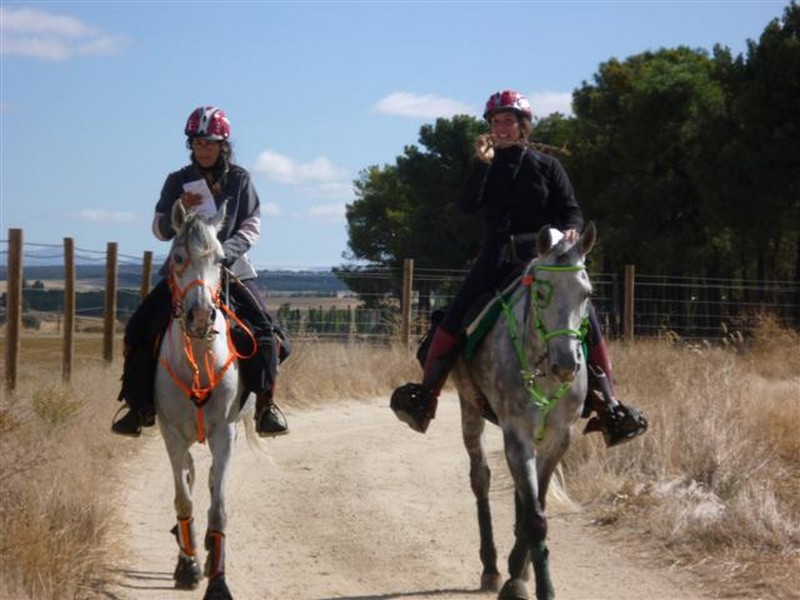 Clinic de Trec en el Club Hípico Zolina los próximos días 5 y 6 de diciembre